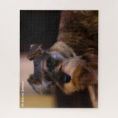 シュナウザー·ドッグ·ジグソーズ。ジグソーパズル ジグソーパズル (縦)