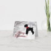 シュナウザー メリークリスマス カード (正面)