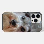 シュナウザー 犬の顔 iPhoneケース (裏面横)