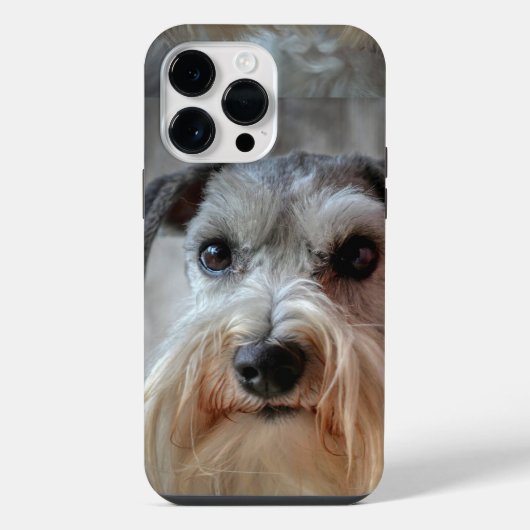 シュナウザー 犬の顔 iPhoneケース (裏面)