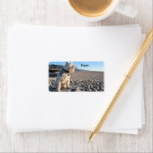 シュナウザー – 錫 ラベル (インサイチュ)