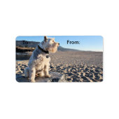 シュナウザー – 錫 ラベル (正面)