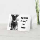 シュナウザーUはまだ"70!!!!"ではなく69を見る カード (正面)