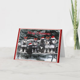 シュナウツァーのクリスマスカード シーズンカード