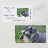 シュナウツァーの名刺 名刺 (正面/裏面)