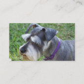 シュナウツァーの名刺 名刺 (裏面)