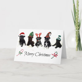 シュナウツァーの子犬が付いているクリスマスカード シーズンカード