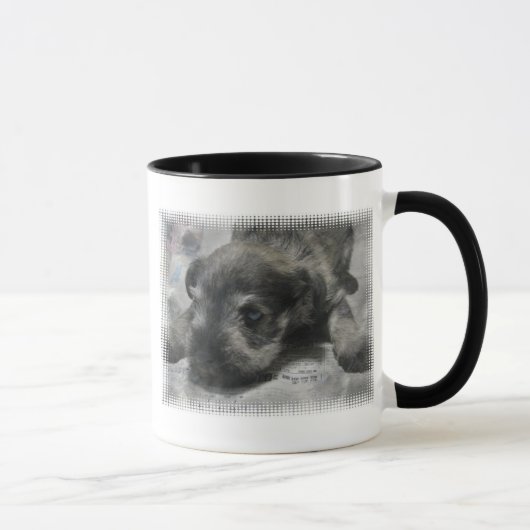シュナウツァーの子犬のコーヒー・マグ マグカップ (右)