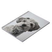 シュナウツァーの子犬のポートレートの写真 ノートブック (左側)