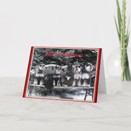 シュナウツァークリスマスカード シーズンカード