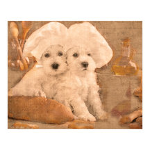 シュナウツァーシェフズキッチンプリント