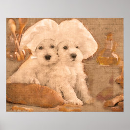 シュナウツァーシェフズキッチンプリント ポスター