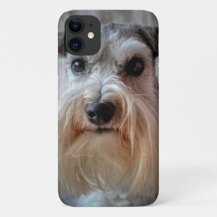 シュナウツァードッグ顔 iPhone 11 ケース