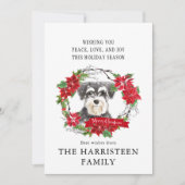 シュナウツァーミニウォーターカラーポインセチアのクリスマス シーズンカード (正面)