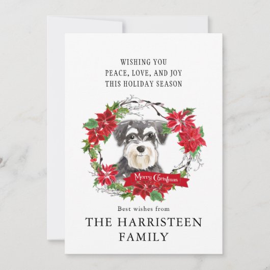 シュナウツァーミニウォーターカラーポインセチアのクリスマス シーズンカード (正面)