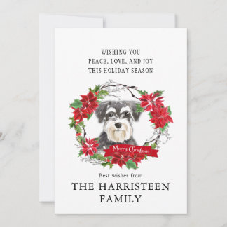シュナウツァーミニウォーターカラーポインセチアのクリスマス シーズンカード