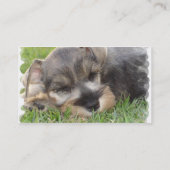 シュナウツァー犬の名刺 名刺 (裏面)