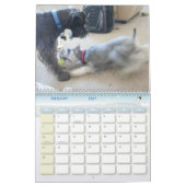 シュナウツァーCalander カレンダー (2月 2027)