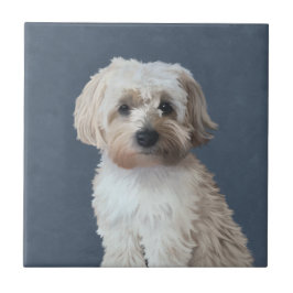 シュナプー+犬のペット肖像画 タイル
