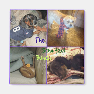 シュニッツェルバンチ磁石 マグネット