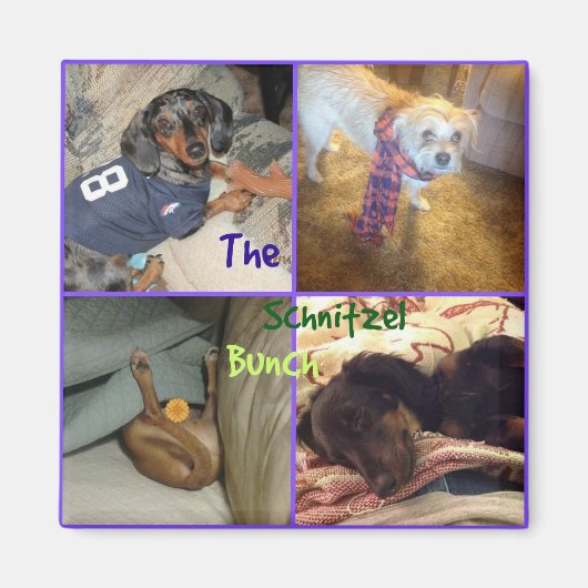 シュニッツェルバンチ磁石 マグネット (正面)