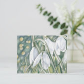 シュニーグレッチェン – ファーストスティフゼイシュヌン ポストカード (スタンド正面)