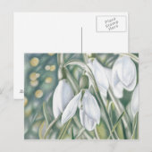 シュニーグレッチェン – ファーストスティフゼイシュヌン ポストカード (正面/裏面)