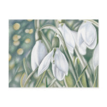 シュニーグレッチェン – ファーストスティフゼイシュヌン