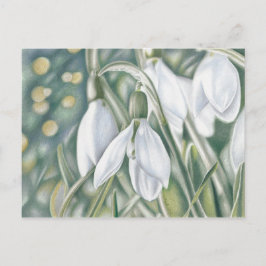 シュニーグレッチェン – ファーストスティフゼイシュヌン ポストカード