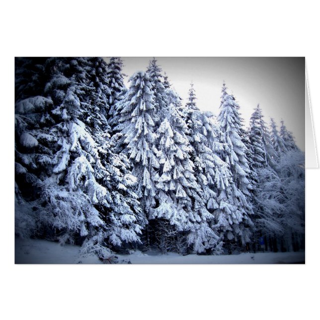 シュニー (正面横)