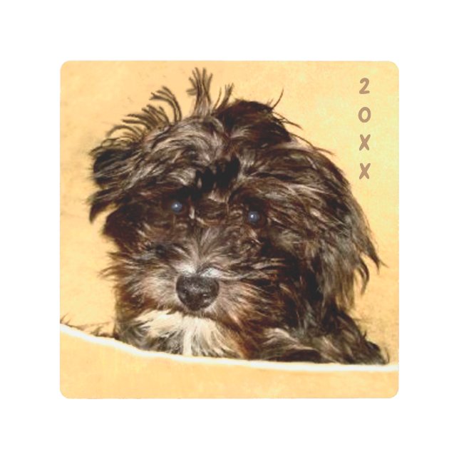 シュヌードルスクエア メタルプリント (正面)