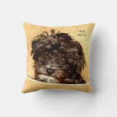 シュヌードルドッグ装飾用クッションと文字 クッション (裏面)