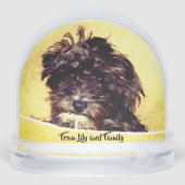 シュヌードル (裏面)