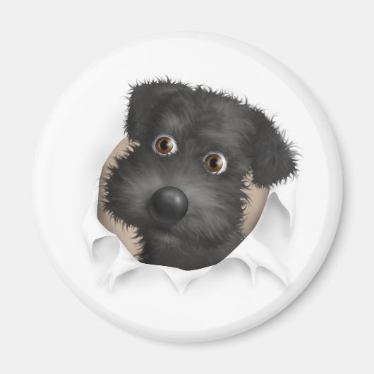 シュヌードル マグネット (正面)