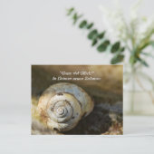 シュネッケンハウス ポストカード (スタンド正面)