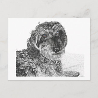 シュネル – はがき空白の ポストカード