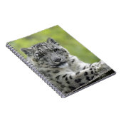 シュネレオパール ノートブック (右側)