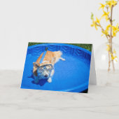 シュノーケルコルギ誕生日グリーティングカード カード (黄色い花)