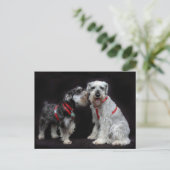 シュノーザー二葉 ポストカード (スタンド正面)