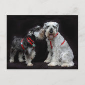 シュノーザー二葉 ポストカード (正面)