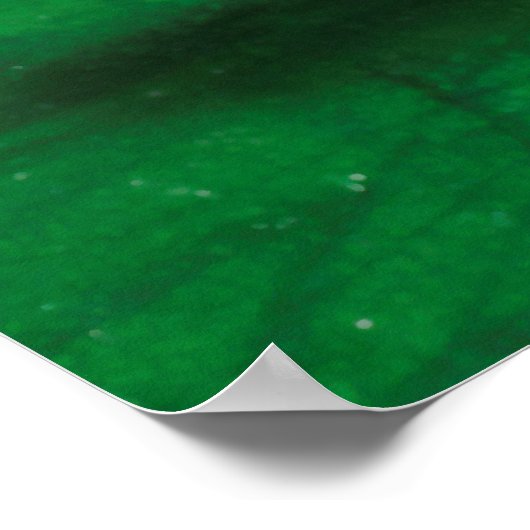 シュノーツ ポスター (角)