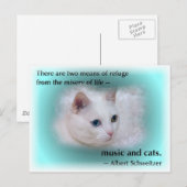 シュバイツァーの猫 ポストカード (正面/裏面)