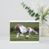 シュバル ポストカード (スタンド正面)