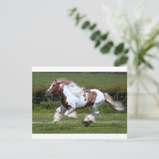 シュバル ポストカード (スタンド正面)