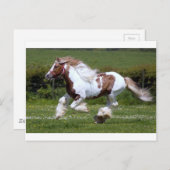 シュバル ポストカード (正面/裏面)