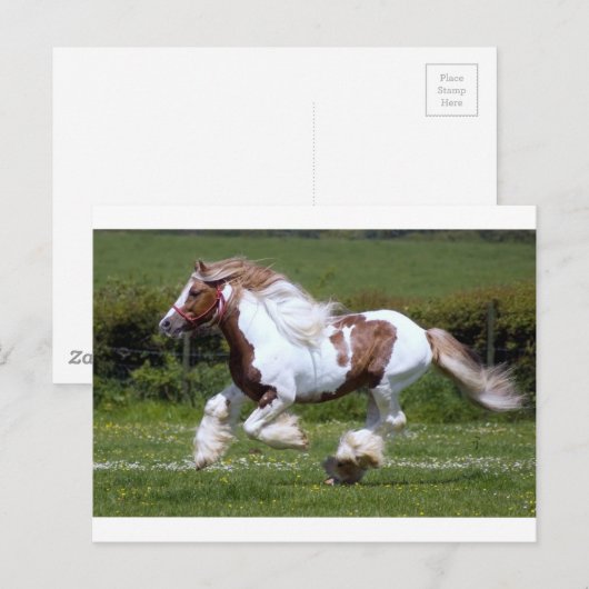 シュバル ポストカード (正面/裏面)