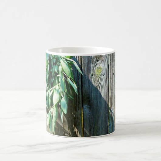 シュフレッシュカットセージ納木材 コーヒーマグカップ (中央)