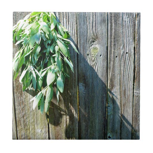 シュフレッシュカットセージ納木材 タイル (正面)