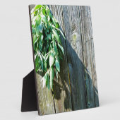 シュフレッシュカットセージ納木材 フォトプラーク (側面)