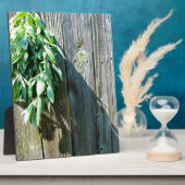 シュフレッシュカットセージ納木材 フォトプラーク (側面)